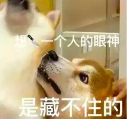 有哪些可以赚钱的软件（存不下钱怎么办？）