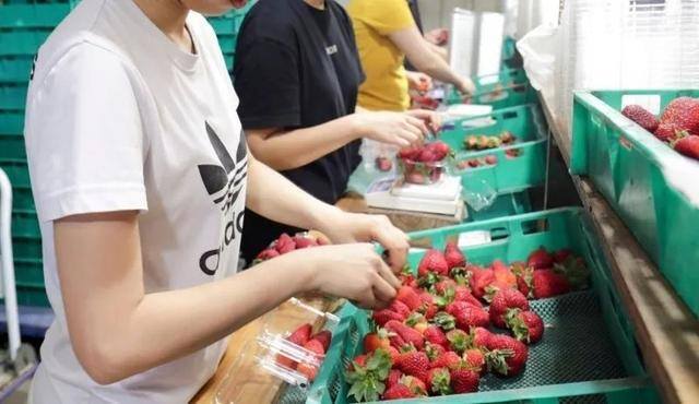 出国劳务打工（怎么才能去澳洲打工？）