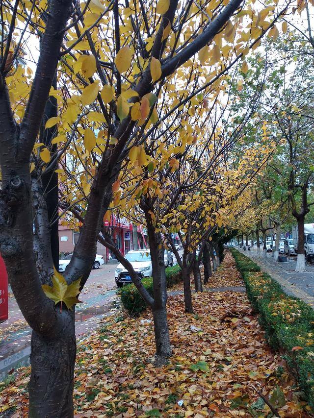 怎么在家里就能赚钱（怎样在家也可以月入五千？）