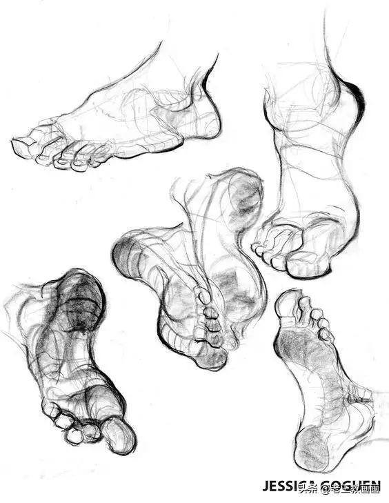 画画教学（50个素描基础教程）