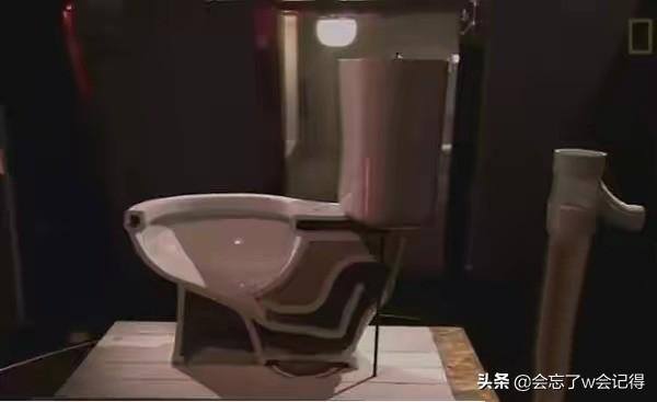 老鼠会从下水道爬到家里吗（老鼠怎么从下水道到达你家？）
