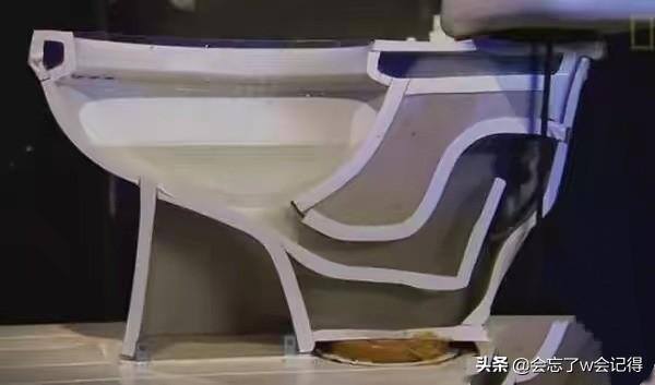 老鼠会从下水道爬到家里吗（老鼠怎么从下水道到达你家？）