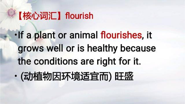 生意的英语（每日一词：flourish）