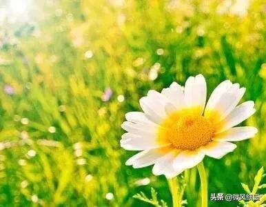 一个女人在家养殖什么赚钱（杨绛：散养孩子的心声）