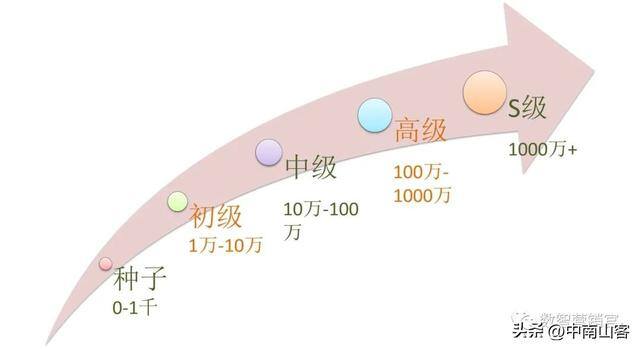 抖音怎么（抖音短视频反馈）