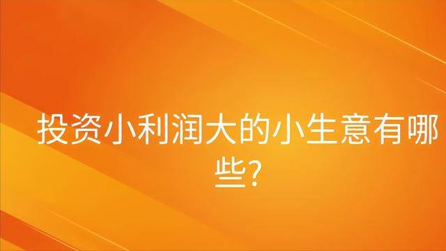 自己创业干点什么好投资小利润高的项目（投资小利润大的小生意有哪些？）