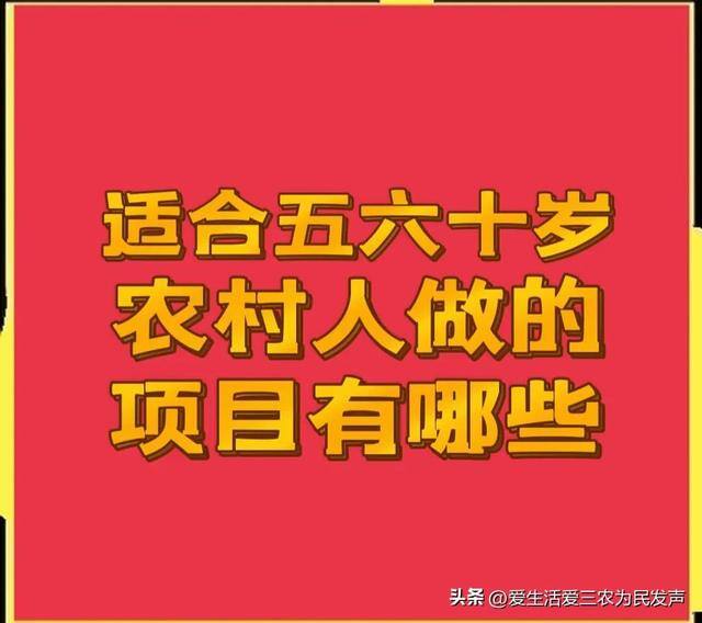 适合家庭养殖的致富项目（在农村做什么项目比较赚钱？）