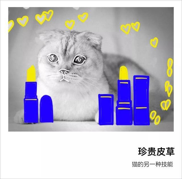 怎么找代购（做代购是怎样的体验？）
