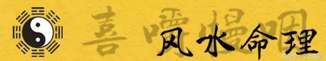 木命人适合什么行业最旺财（从命理五行角度来选择养什么宠物？）