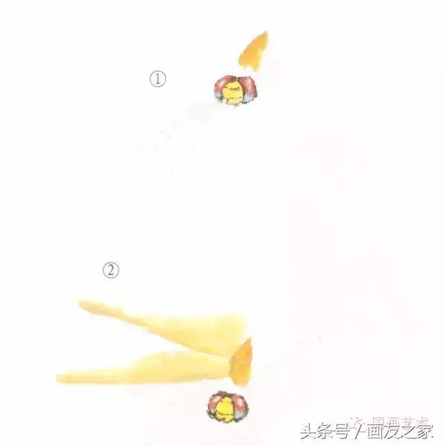 画蜻蜓又简单又漂亮（蜻蜓工笔画法步骤）