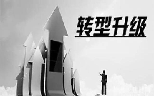 养猪致富（张永安养殖“跑猪”致富的方法）