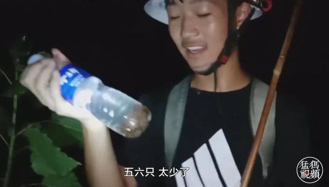 初中生怎么在手机上赚钱（初中生天天出来“摸”知了，三个才挣一块钱）