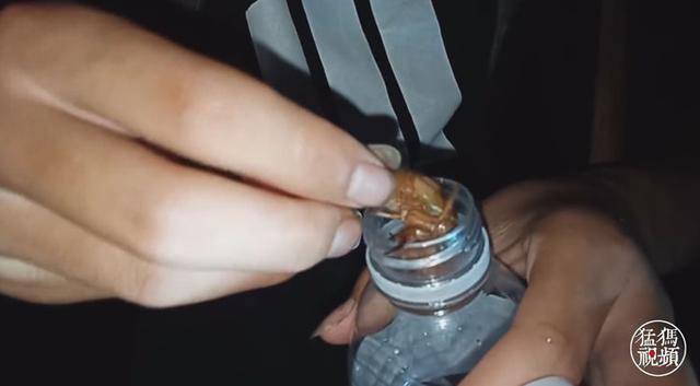 初中生怎么在手机上赚钱（初中生天天出来“摸”知了，三个才挣一块钱）