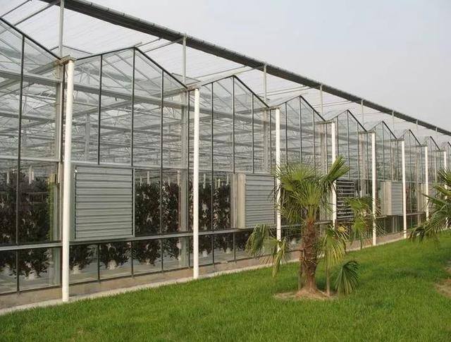 大棚蔬菜一亩地需要投入多少钱（在农村建一亩地蔬菜温室大棚造价大概需要多少钱）