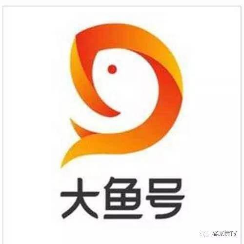 大鱼号怎么赚钱（大鱼号怎样才会有收益？怎么做才能赚钱？）