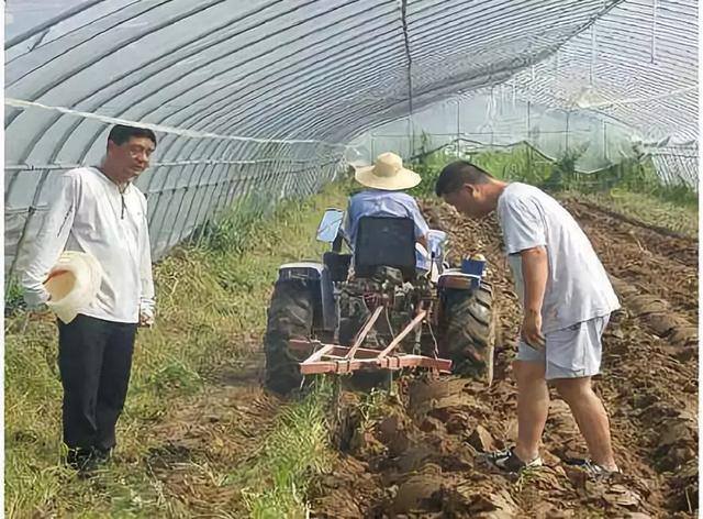 种菜赚钱（庐江农民种菜创业，一年获利二十多万元！）