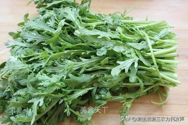 种什么菜好卖又赚钱（紫色白菜、紫色大白菜、紫色大白菜、紫色大白菜、紫色大白菜）
