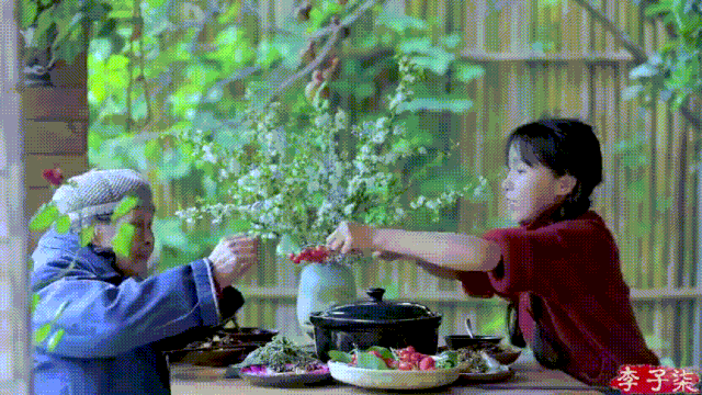 怎么拍视频（李子柒的美食摄影技巧）