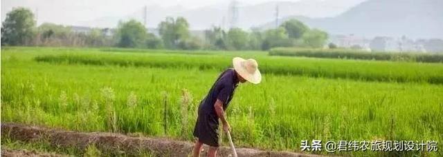 农村返乡创业做什么好（在农村做什么生意好？）