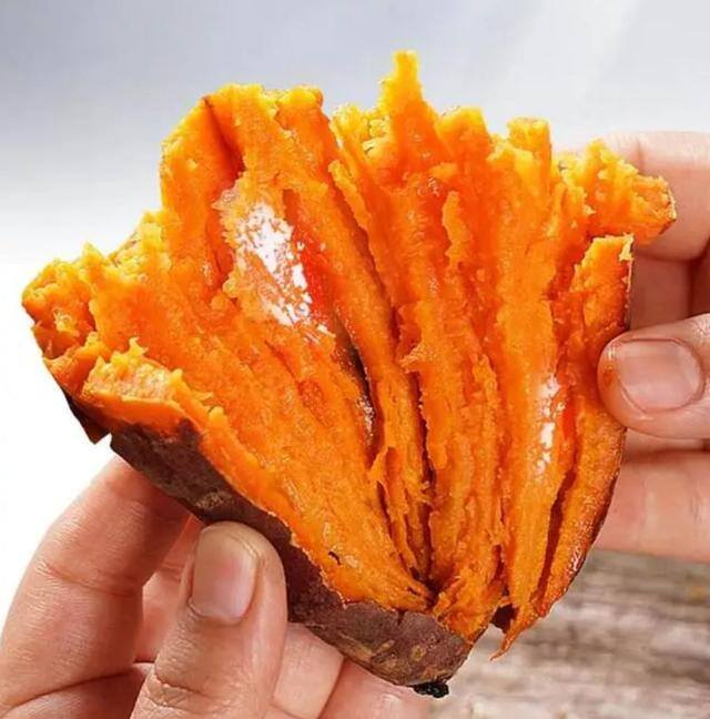 吃啥减肥最快最好方法（高蛋白能减肥吗？）