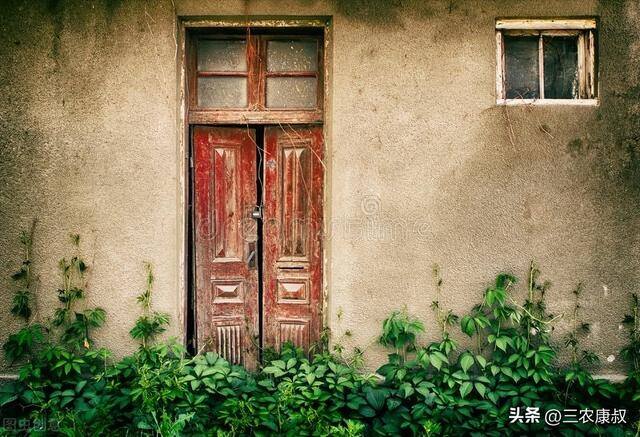 最适合农村人做的10种小生意（农村小买卖，一天挣500元）
