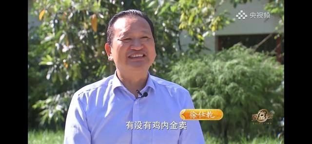 养多少鸡能赚20万（徐士乾养殖乌鸡失败，妻子的一句话，让他气走妻子）