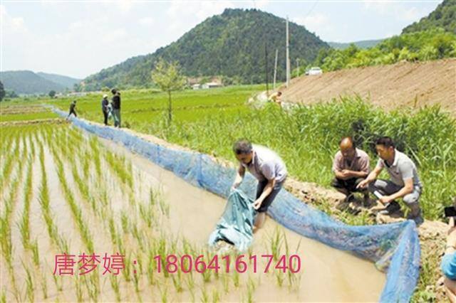 泥鳅养殖前景与利润（2020年养泥鳅前景如何？）