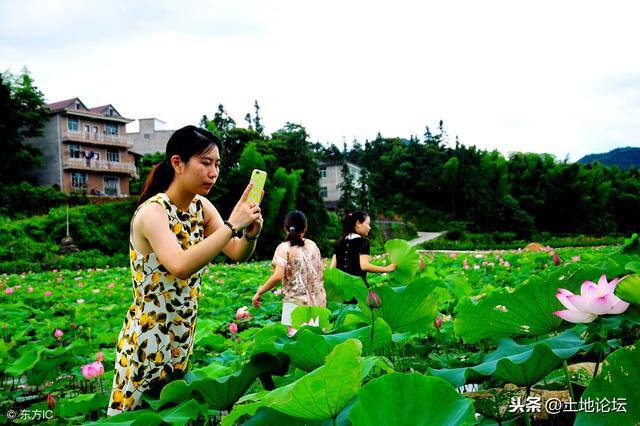 不想打工了 在老家能做什么（不想再进城打工了，留在农村可以做哪些行业？）