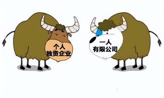 一人创业项目（个人独资企业与一人有限责任公司的区别）