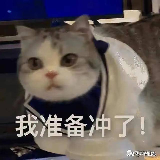 抖音怎么（抖音短视频反馈）