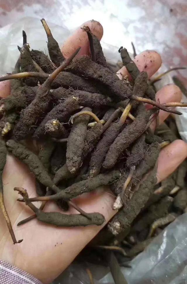 小县城最缺的生意（小城的商人们）
