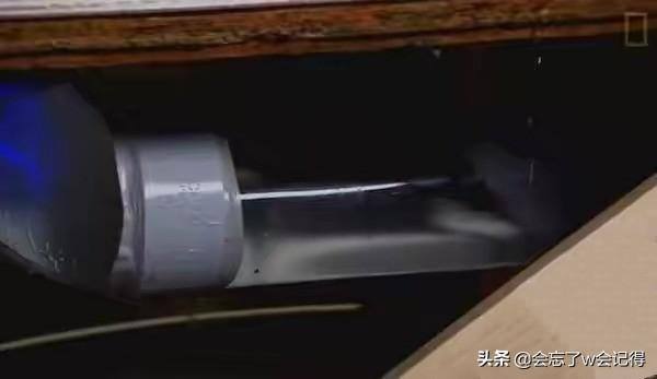 老鼠会从下水道爬到家里吗（老鼠怎么从下水道到达你家？）
