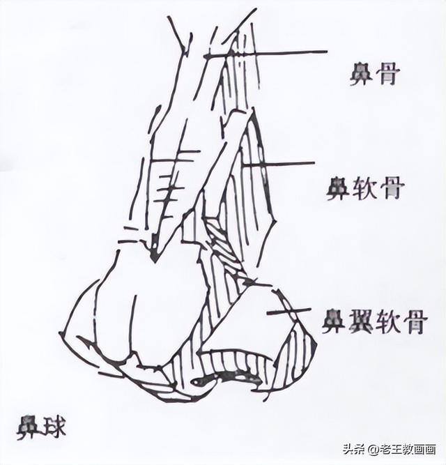 画画教学（50个素描基础教程）
