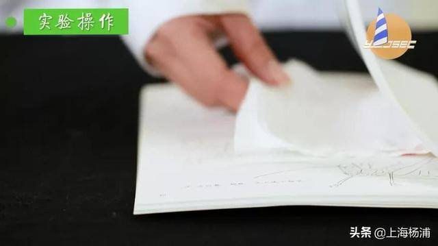 用废旧物品做手工简单又漂亮（手把手教你做“叶脉书签”）