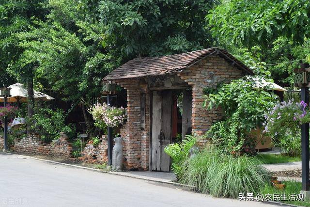 幸福树风水摆放三不要（农村俗语“床头莫挂三物，院内莫栽三树”是什么意思？）