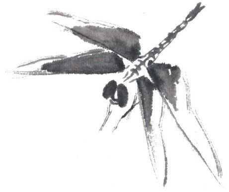 画蜻蜓又简单又漂亮（蜻蜓的基本画法蝗虫的基本画法）