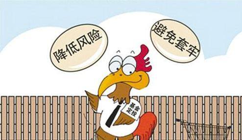 定投基金怎么操作才能赚钱（选择基金定投是怎样的体验？）