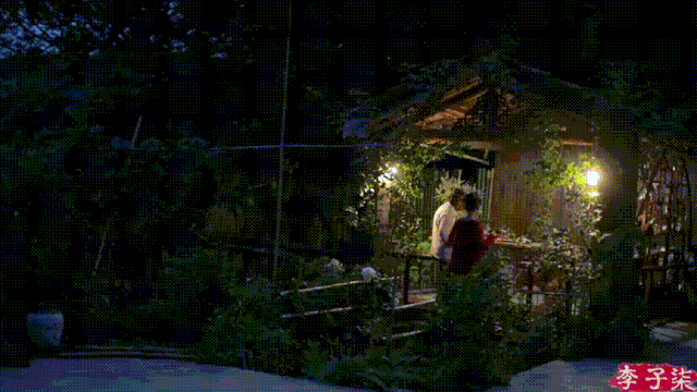 怎么拍视频（李子柒的美食摄影技巧）