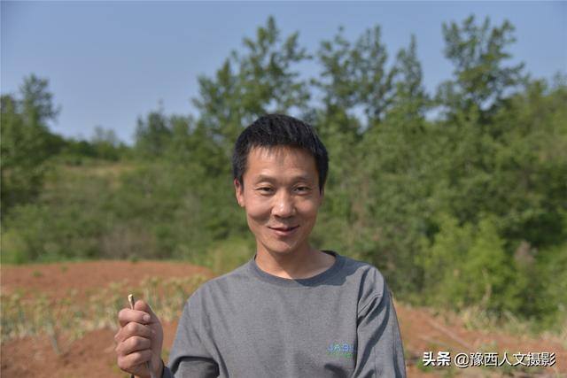 养100只羊一年能赚多少钱（回农村创业，买100只羊最少需要多少钱？）