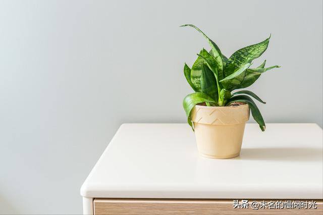 带孩子在家适合做什么工作能挣钱（自媒体写作，你需要了解的几点）