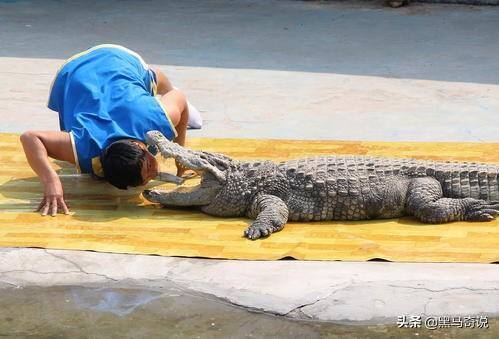 国内拿命挣钱的高危职业（世界上最“恐怖”的5个职业，一天能挣多少钱？）