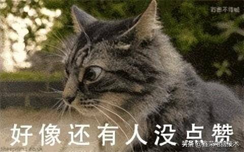 电脑任务栏在右边怎么调到下面（电脑任务栏恢复到桌面底部的方法步骤）