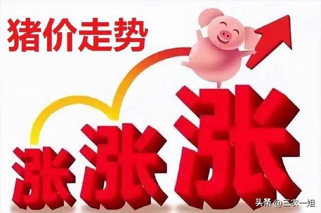 现在养殖什么最赚钱见效最快（元旦即将到来，生猪价格行情如何？）