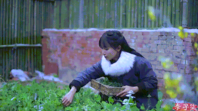 怎么拍视频（李子柒的美食摄影技巧）
