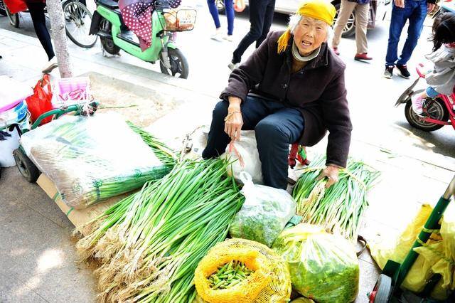 卖菜赚钱吗（农村人种菜赚钱吗？老农说，利润都被小贩给赚了去）