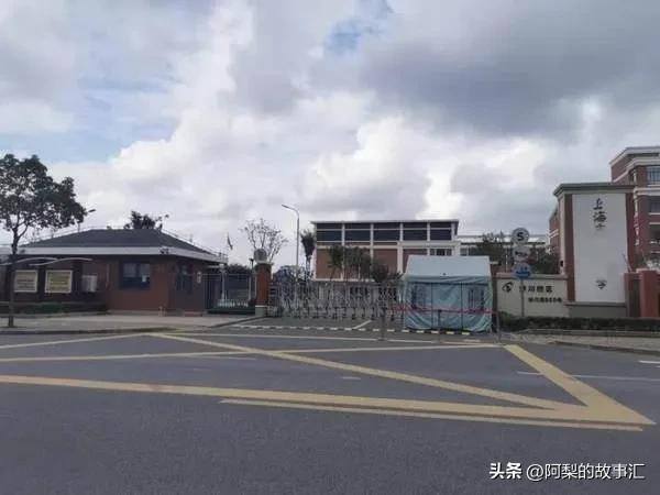 2000万工程能赚300万吗（半年挣了2000万，我们不是专业子）