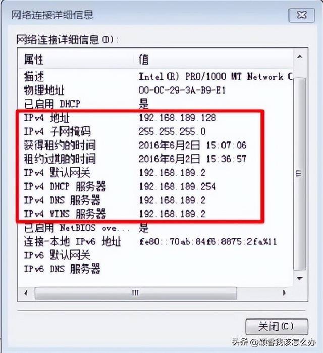 怎样查看电脑的ip地址（如何查看win7、win10、macos电脑ip地址）
