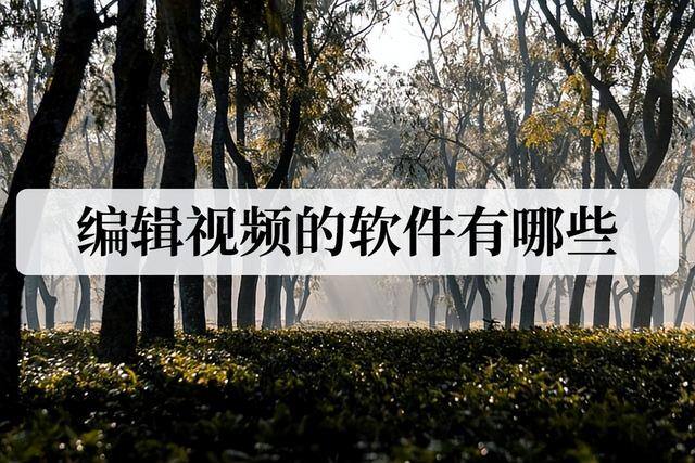 做视频的软件（编辑视频的软件有哪些？）