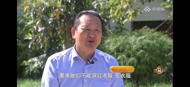 养多少鸡能赚20万（徐士乾养殖乌鸡失败，妻子的一句话，让他气走妻子）