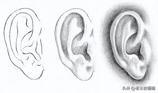 画画教学（50个素描基础教程）